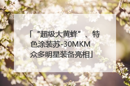“超级大黄蜂”、特色涂装苏-30MKM 众多明星装备亮相