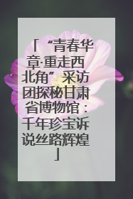 “青春华章·重走西北角”采访团探秘甘肃省博物馆：千年珍宝诉说丝路辉煌