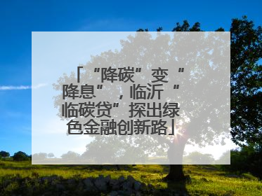 “降碳”变“降息”，临沂“临碳贷”探出绿色金融创新路
