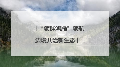 “领群鸿雁”领航边境共治新生态
