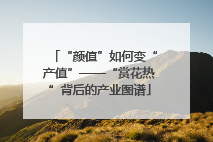 “颜值”如何变“产值”——“赏花热”背后的产业图谱