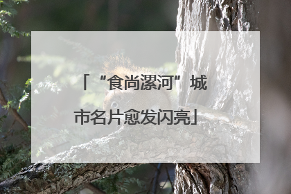 “食尚漯河”城市名片愈发闪亮