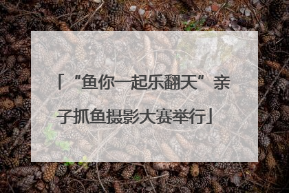 “鱼你一起乐翻天”亲子抓鱼摄影大赛举行