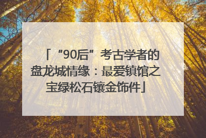 “90后”考古学者的盘龙城情缘：最爱镇馆之宝绿松石镶金饰件