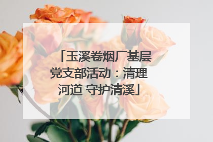 玉溪卷烟厂基层党支部活动：清理河道 守护清溪