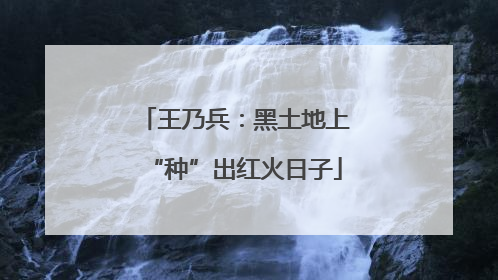 王乃兵：黑土地上“种”出红火日子