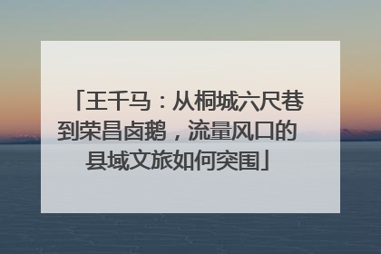 王千马：从桐城六尺巷到荣昌卤鹅，流量风口的县域文旅如何突围