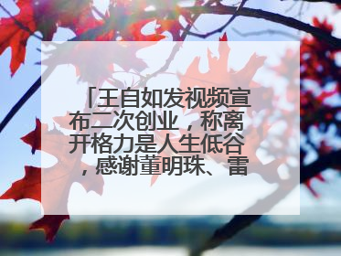 王自如发视频宣布二次创业，称离开格力是人生低谷，感谢董明珠、雷军，还回应了“工资条”：清楚自己要什么……