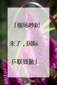 现场吵起来了，国际乒联致歉