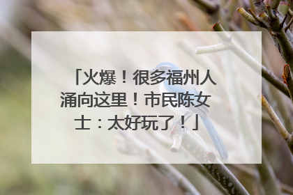 火爆！很多福州人涌向这里！市民陈女士：太好玩了！