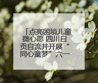点亮困境儿童微心愿 四川自贡自流井开展“同心童梦”六一特别行动