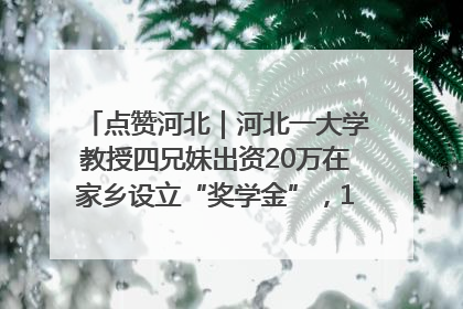 点赞河北｜河北一大学教授四兄妹出资20万在家乡设立“奖学金”，13年为320名农村学生种下“希望的种子”