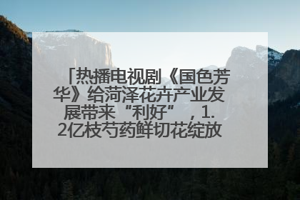 热播电视剧《国色芳华》给菏泽花卉产业发展带来“利好”，1.2亿枝芍药鲜切花绽放“国色芳华”