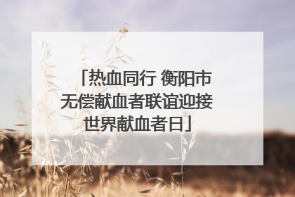 热血同行 衡阳市无偿献血者联谊迎接世界献血者日