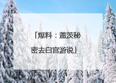 爆料：盖茨秘密去白宫游说