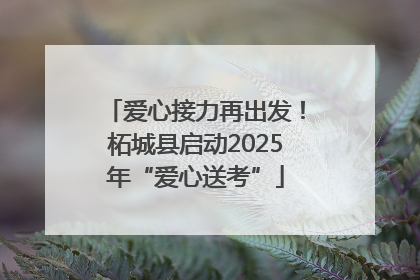爱心接力再出发！柘城县启动2025年“爱心送考”