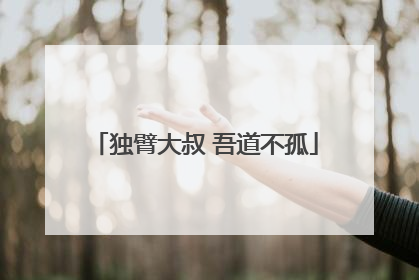 独臂大叔 吾道不孤