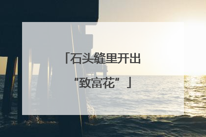 石头缝里开出“致富花”