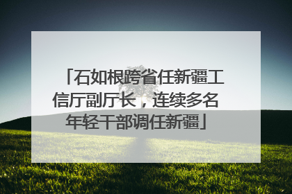 石如根跨省任新疆工信厅副厅长，连续多名年轻干部调任新疆