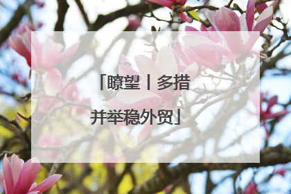 瞭望丨多措并举稳外贸