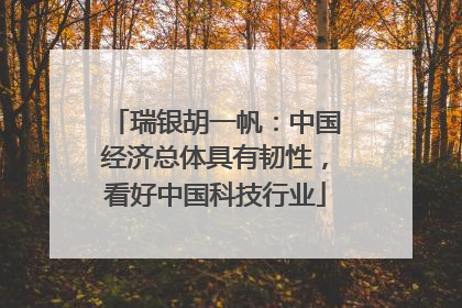 瑞银胡一帆：中国经济总体具有韧性，看好中国科技行业