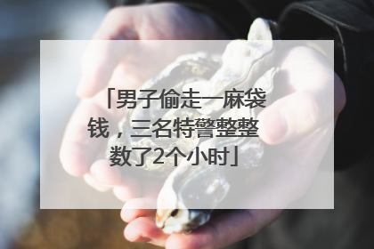 男子偷走一麻袋钱，三名特警整整数了2个小时