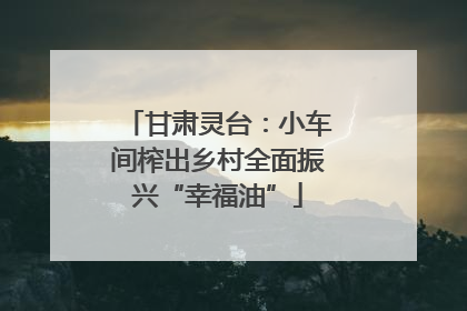 甘肃灵台：小车间榨出乡村全面振兴“幸福油”