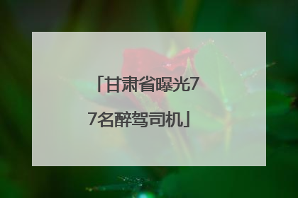 甘肃省曝光77名醉驾司机