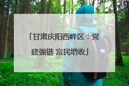 甘肃庆阳西峰区：党建强链 富民增收