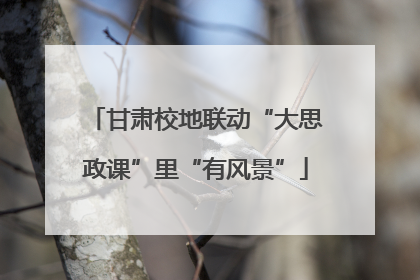 甘肃校地联动“大思政课”里“有风景”