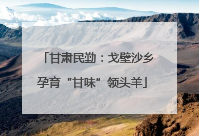 甘肃民勤：戈壁沙乡孕育“甘味”领头羊