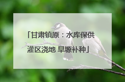 甘肃镇原：水库保供 灌区浇地 旱塬补种