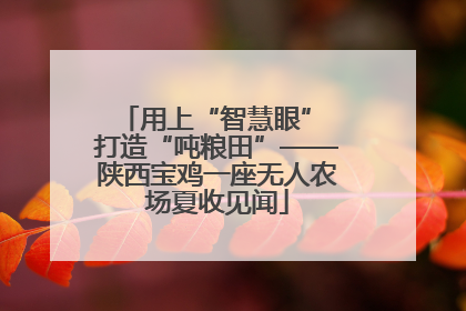 用上“智慧眼” 打造“吨粮田”——陕西宝鸡一座无人农场夏收见闻