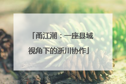 甬江潮：一座县域视角下的浙川协作