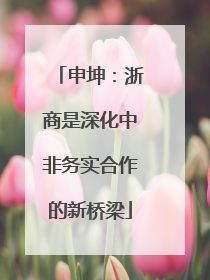 申坤：浙商是深化中非务实合作的新桥梁