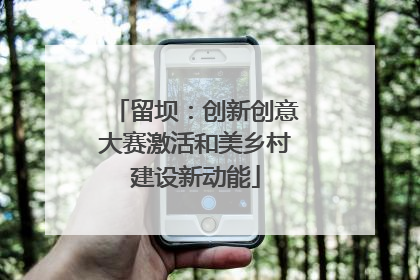 留坝：创新创意大赛激活和美乡村建设新动能