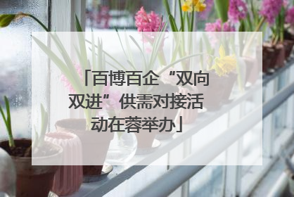 百博百企“双向双进”供需对接活动在蓉举办