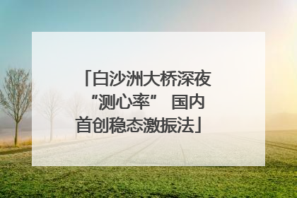 白沙洲大桥深夜“测心率” 国内首创稳态激振法
