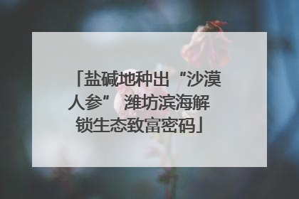盐碱地种出“沙漠人参” 潍坊滨海解锁生态致富密码