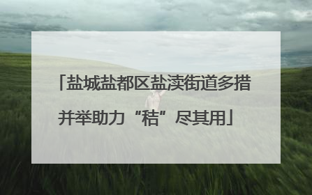 盐城盐都区盐渎街道多措并举助力“秸”尽其用