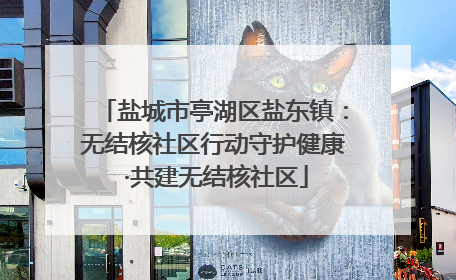 盐城市亭湖区盐东镇：无结核社区行动守护健康 ·共建无结核社区