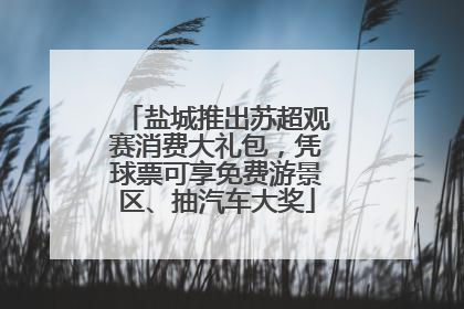 盐城推出苏超观赛消费大礼包，凭球票可享免费游景区、抽汽车大奖