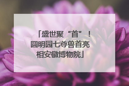 盛世聚“首”！圆明园七尊兽首亮相安徽博物院