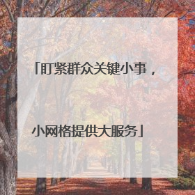 盯紧群众关键小事，小网格提供大服务