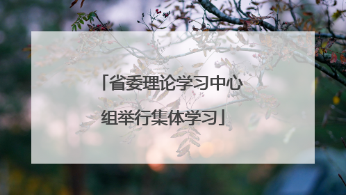 省委理论学习中心组举行集体学习