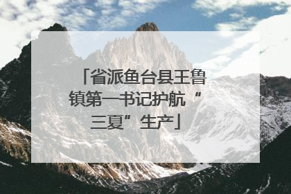 省派鱼台县王鲁镇第一书记护航“三夏”生产