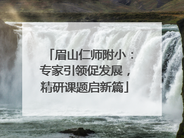 眉山仁师附小：专家引领促发展，精研课题启新篇