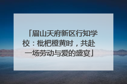 眉山天府新区行知学校：枇杷橙黄时，共赴一场劳动与爱的盛宴