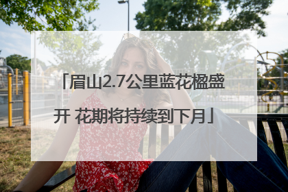 眉山2.7公里蓝花楹盛开 花期将持续到下月