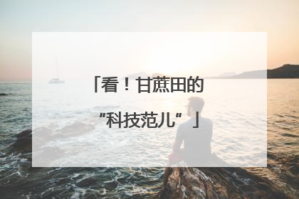 看！甘蔗田的“科技范儿”
